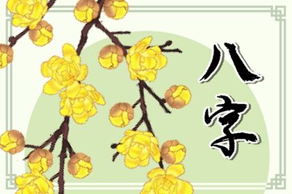 不同软件的喜用分歧