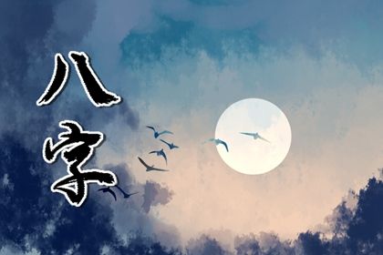 纳音与生肖有何不同