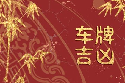 车牌的常见误解