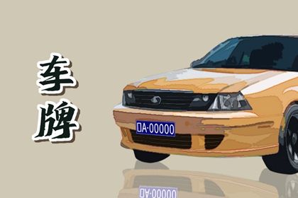 为何把81视为极