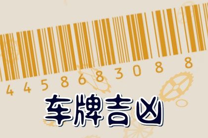 数理分如何理解