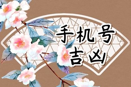 数理与卦象怎么配合