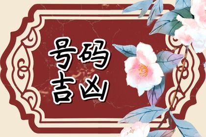 五行与选号思路