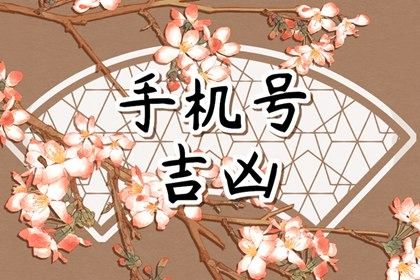 过分追求全吉号