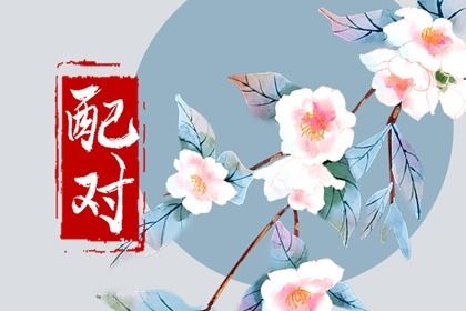 测夫妻姻缘,测试夫妻姻缘,真实测姻缘