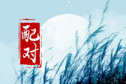 一份合盘报告长什么样