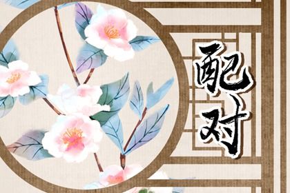 命宫看相处而不是看感情