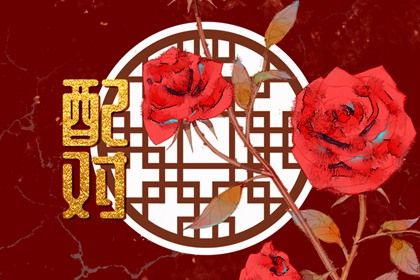 四柱分工的现代应用