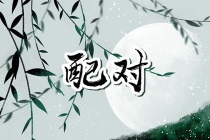 长辈催合婚怎么办