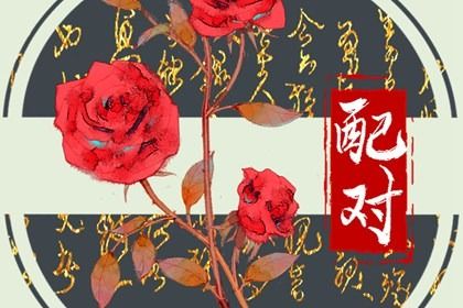 姓名恋爱配对,雷泽归妹卦姻缘,合婚生肖配对,年龄配对,姓名姻缘测算