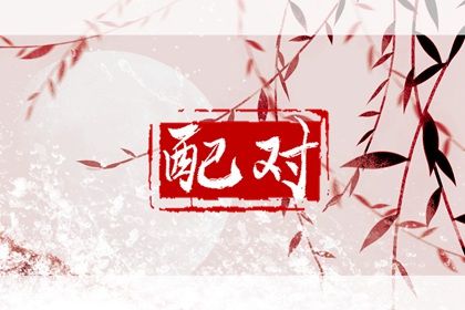 八字精解 八字四象齐全 算命命盘 查流年大运八字