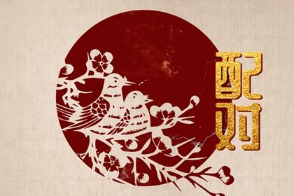 合婚里的天克地冲