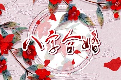 日干合能合化吗