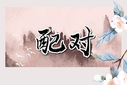 分数能被刻意提高吗