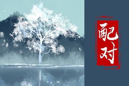 理想伴侣的边界感