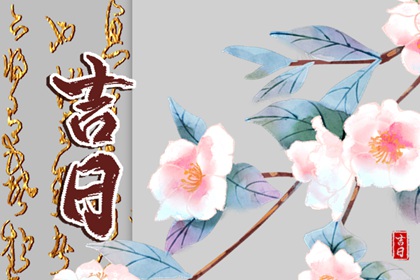 越贵的服务越好吗