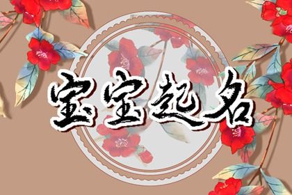 八字罗盘_八字两戊特点_八字罗盘查询