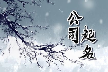元亨排盘八字,八字流盘查询,青囊八字查询