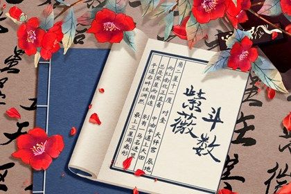 工具不擅长的部分