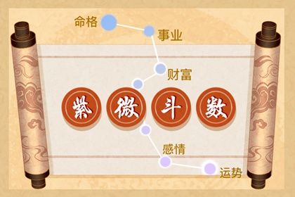 斗数能看哪些方面